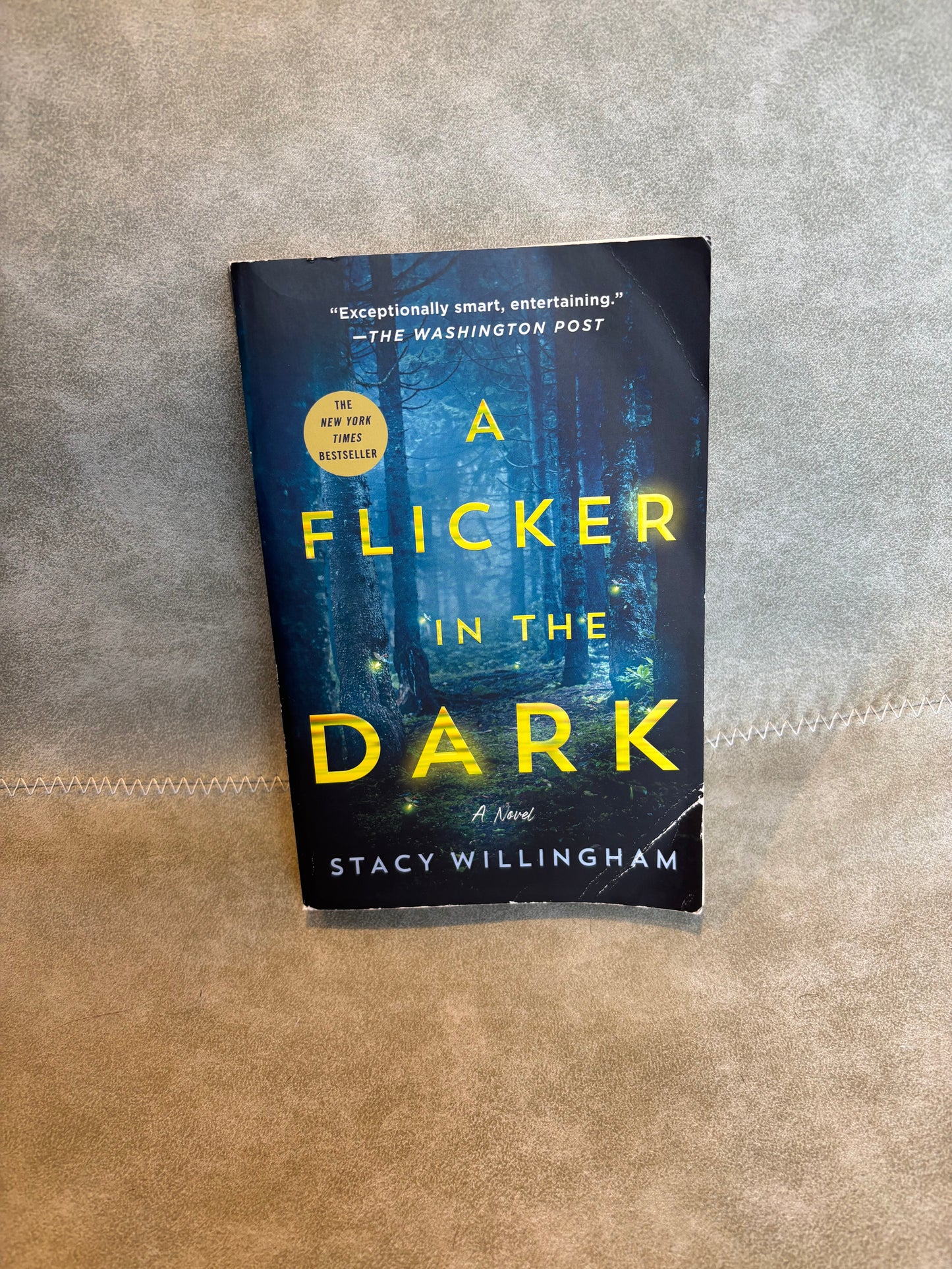 A Flicker in the Dark by Stacy Willingham
