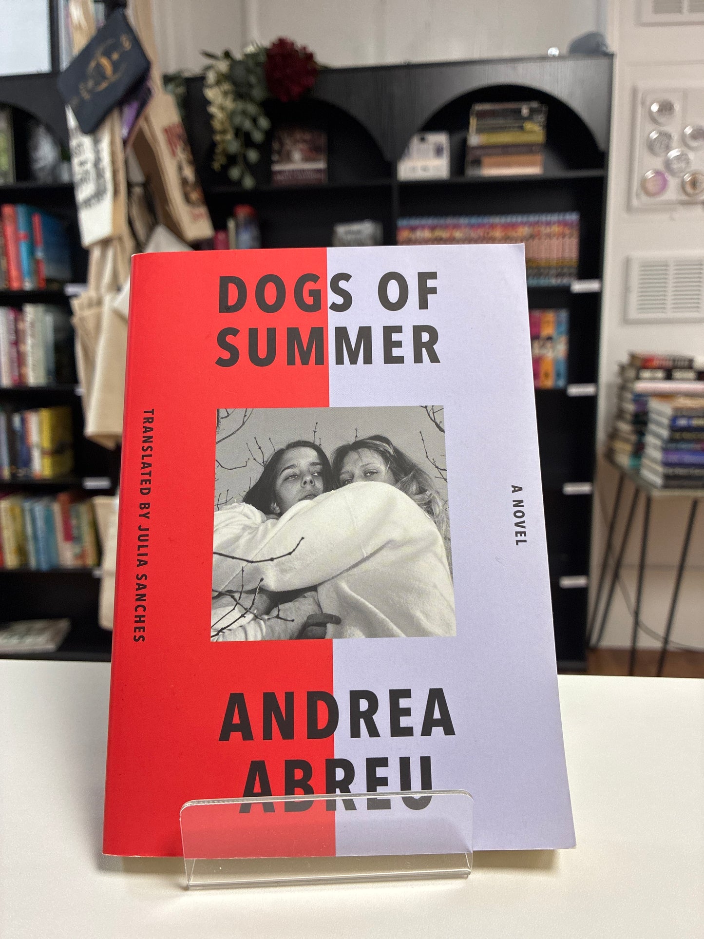 Dogs of Summer by Andrea Abreu