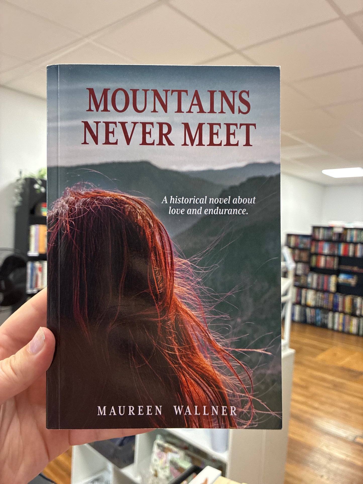 Mountains Never Meet by Maureen Wallner