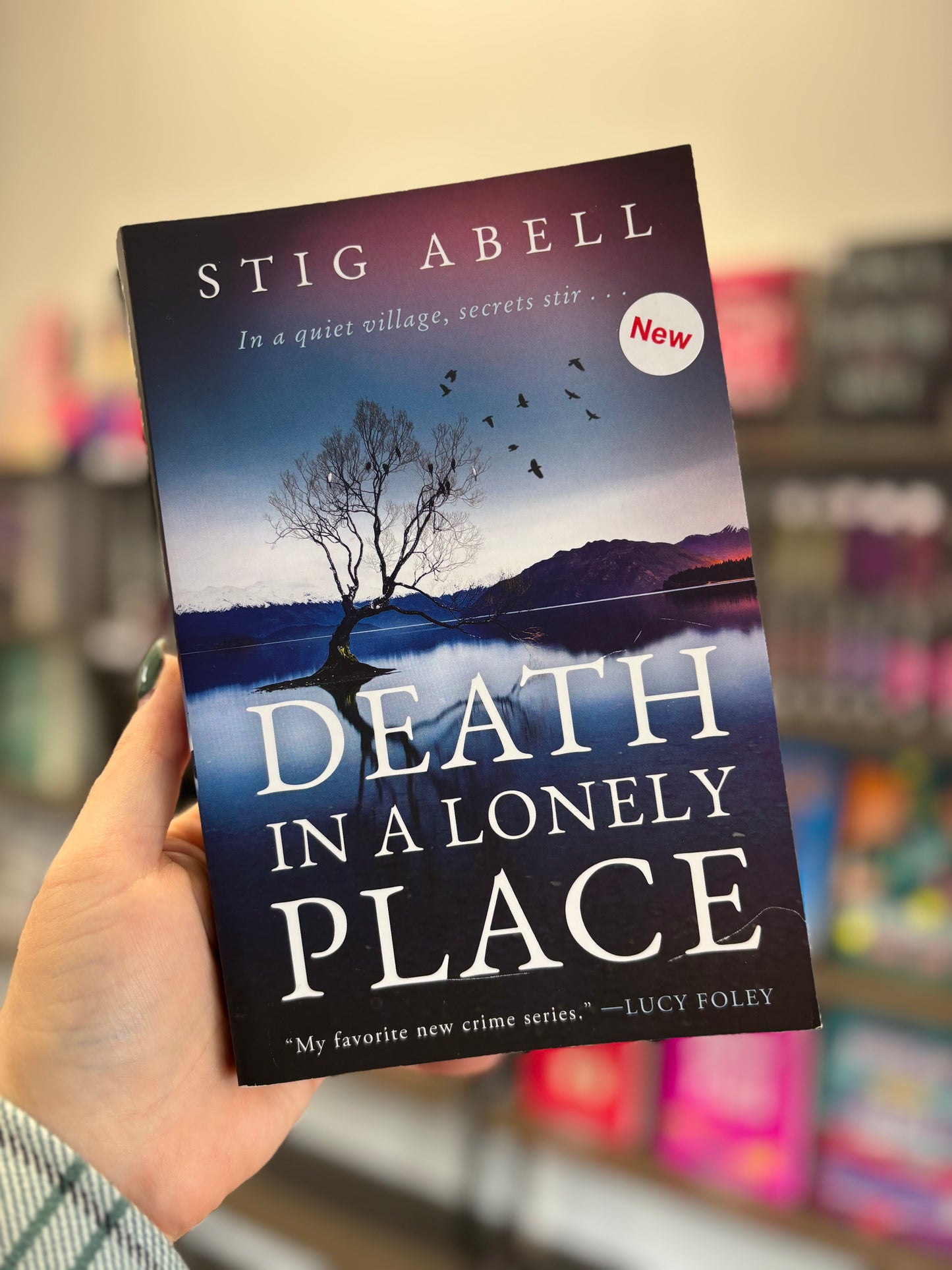 Death in a Lonely Place by Stig Abel (NEW)