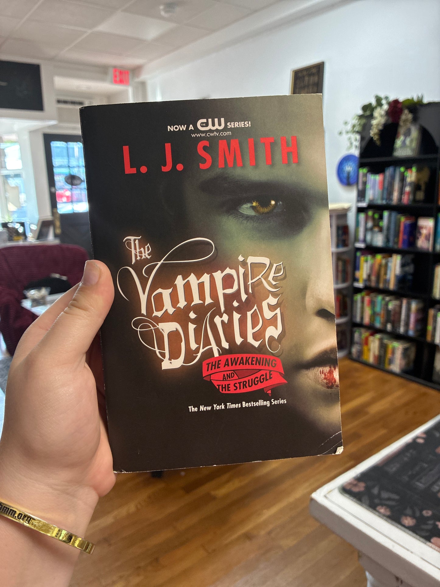The Vampire Diaries by L. J. Smith