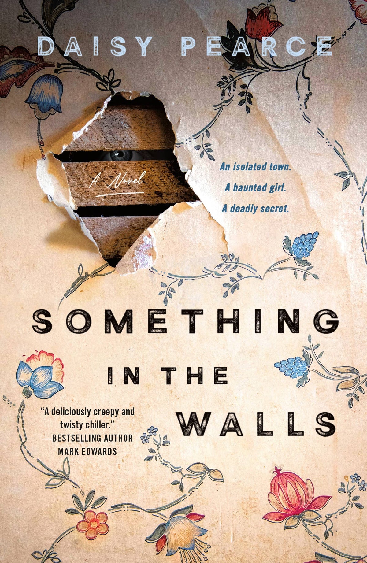 Something In The Walls by Daisy Pearce (NEW)