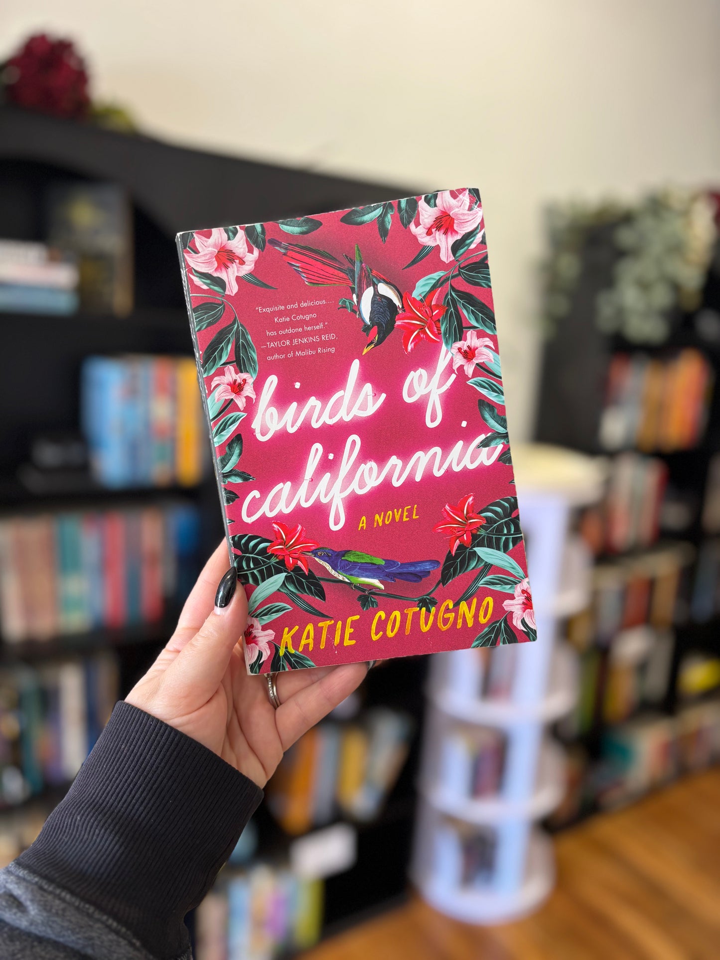 Birds of California by Katie Cotugno