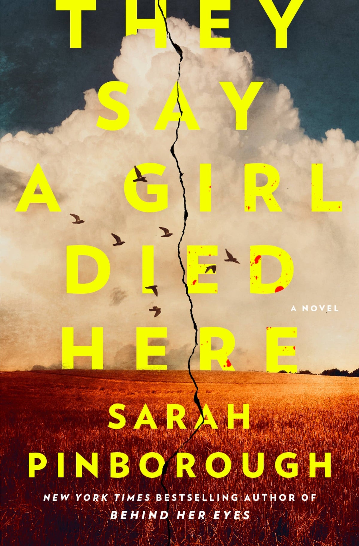 They Say A Girl Died Here by Sarah Pinborough (NEW)