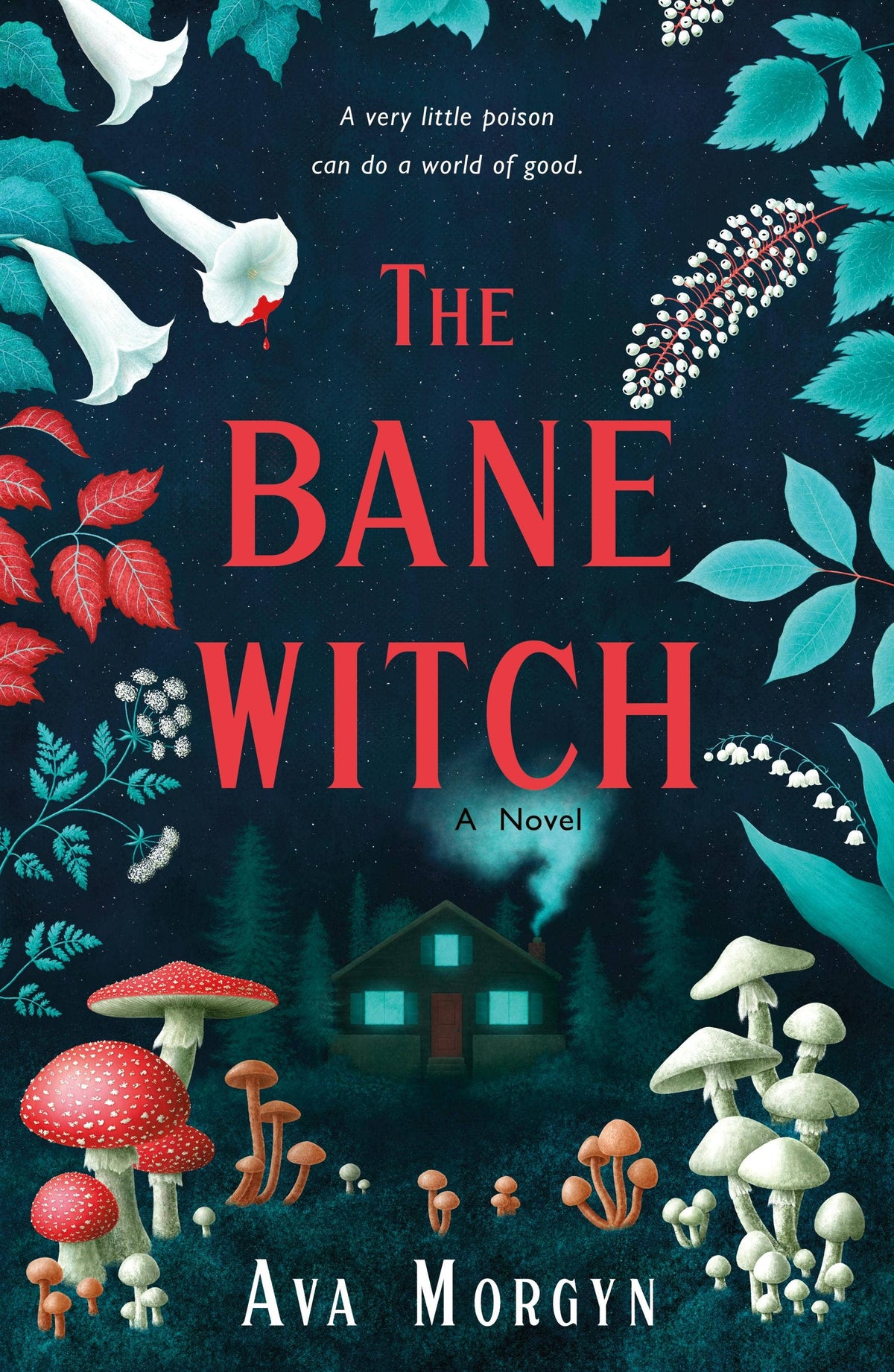 The Bane Witch by Ava Morgyn (New)