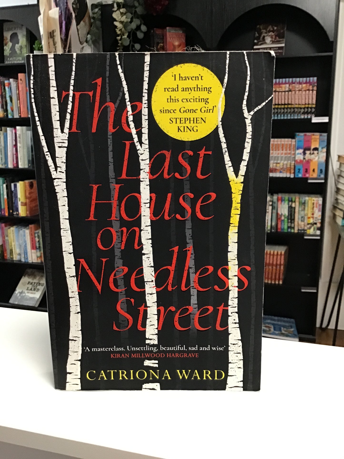 The Last House on Needless Street by Catrina Ward