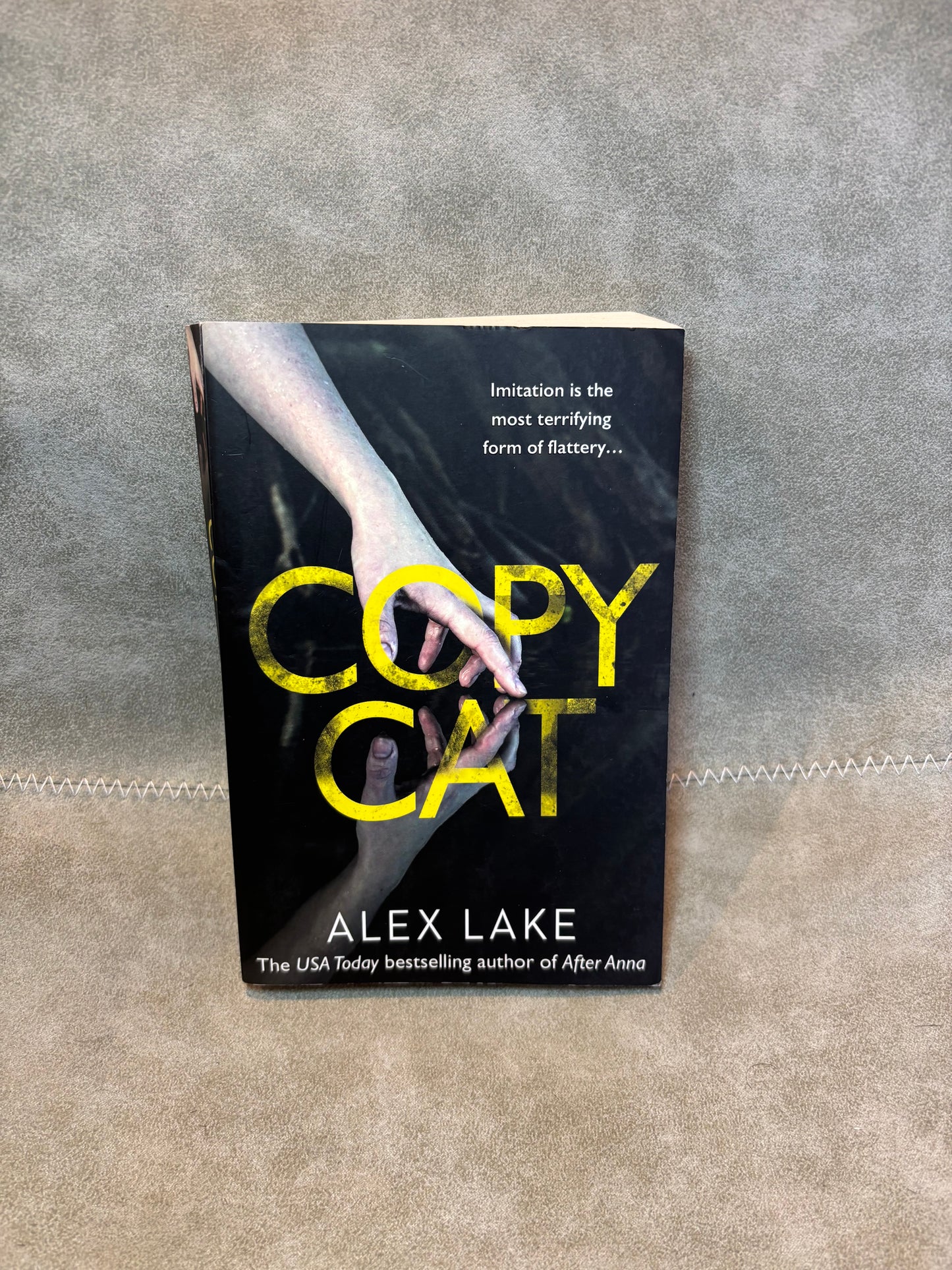 Copy Cat by Alex Lake