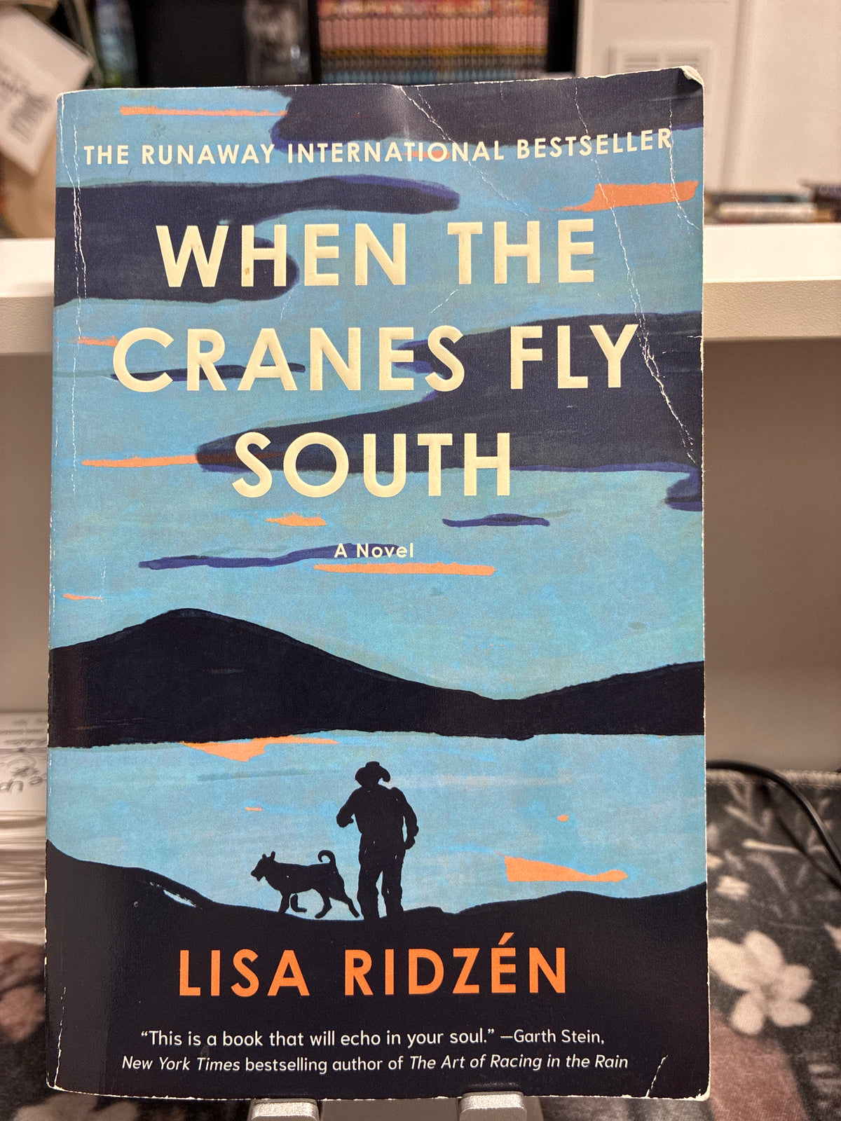 When the Cranes Fly South by Lisa Ridzén