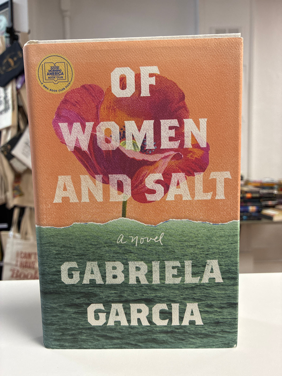 Of Women and Salt by Gabriela Garcia