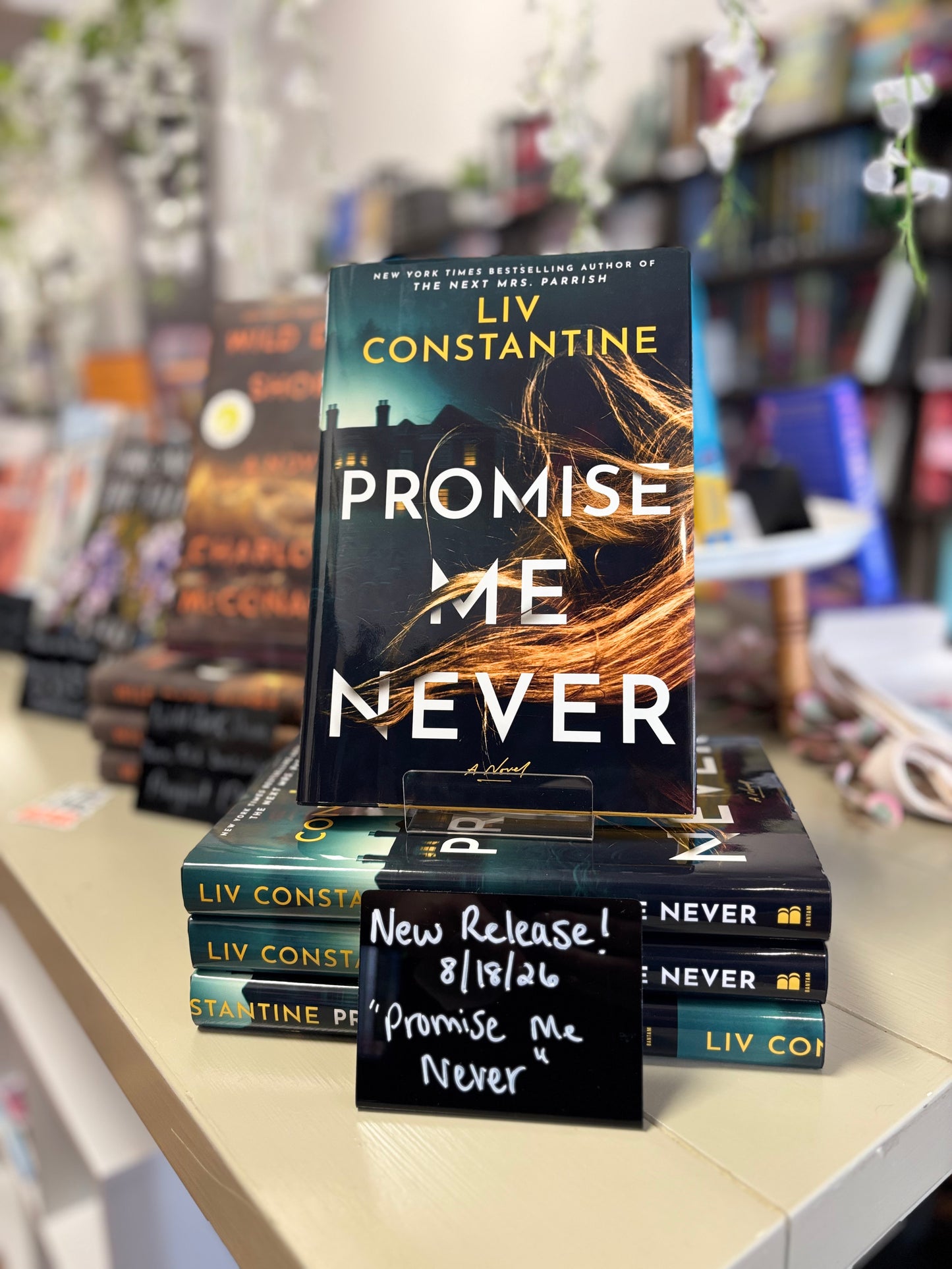 Promise Me Never by Liv Constantine (NEW)