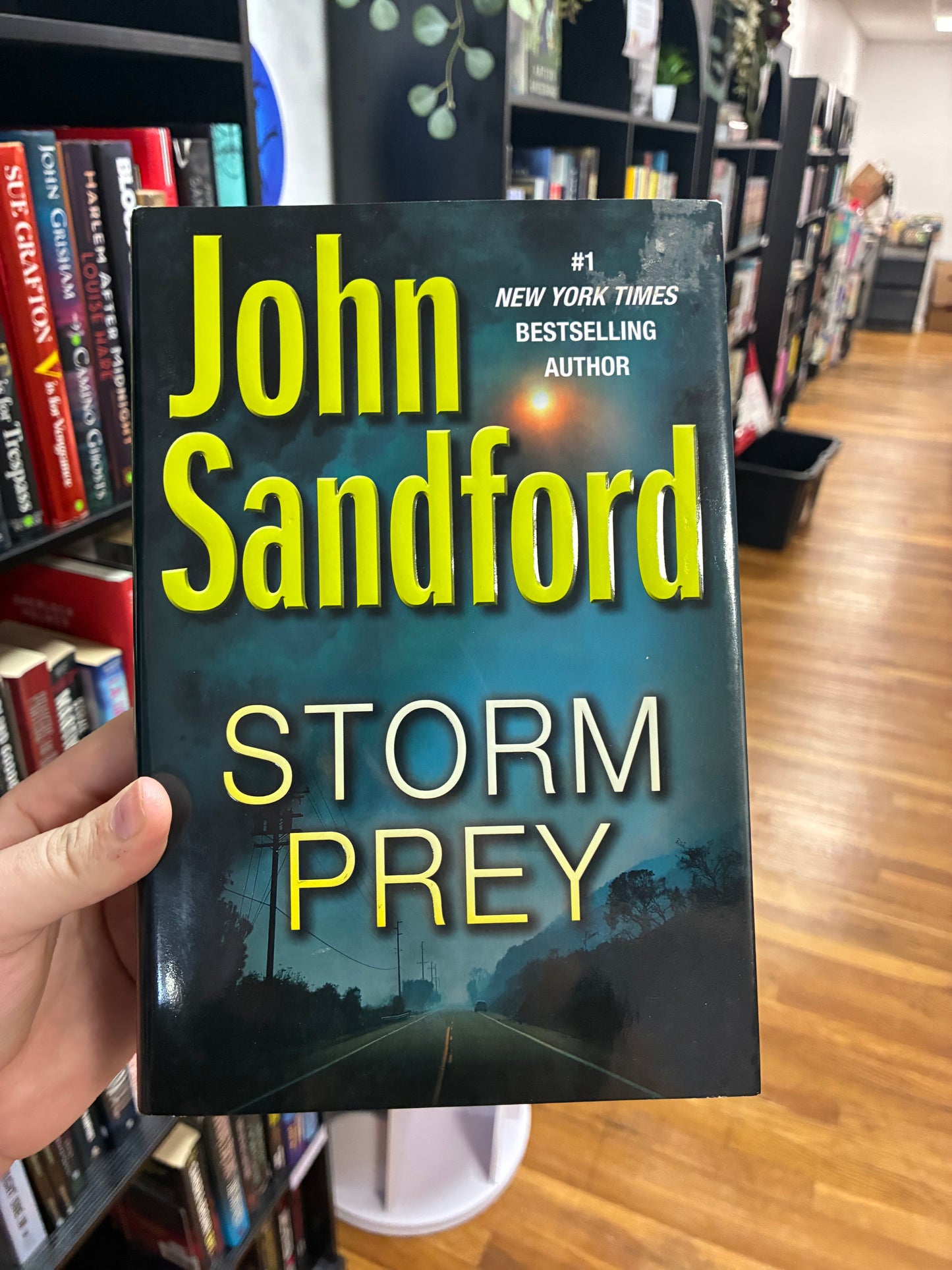 Storm Prey by John Sandford