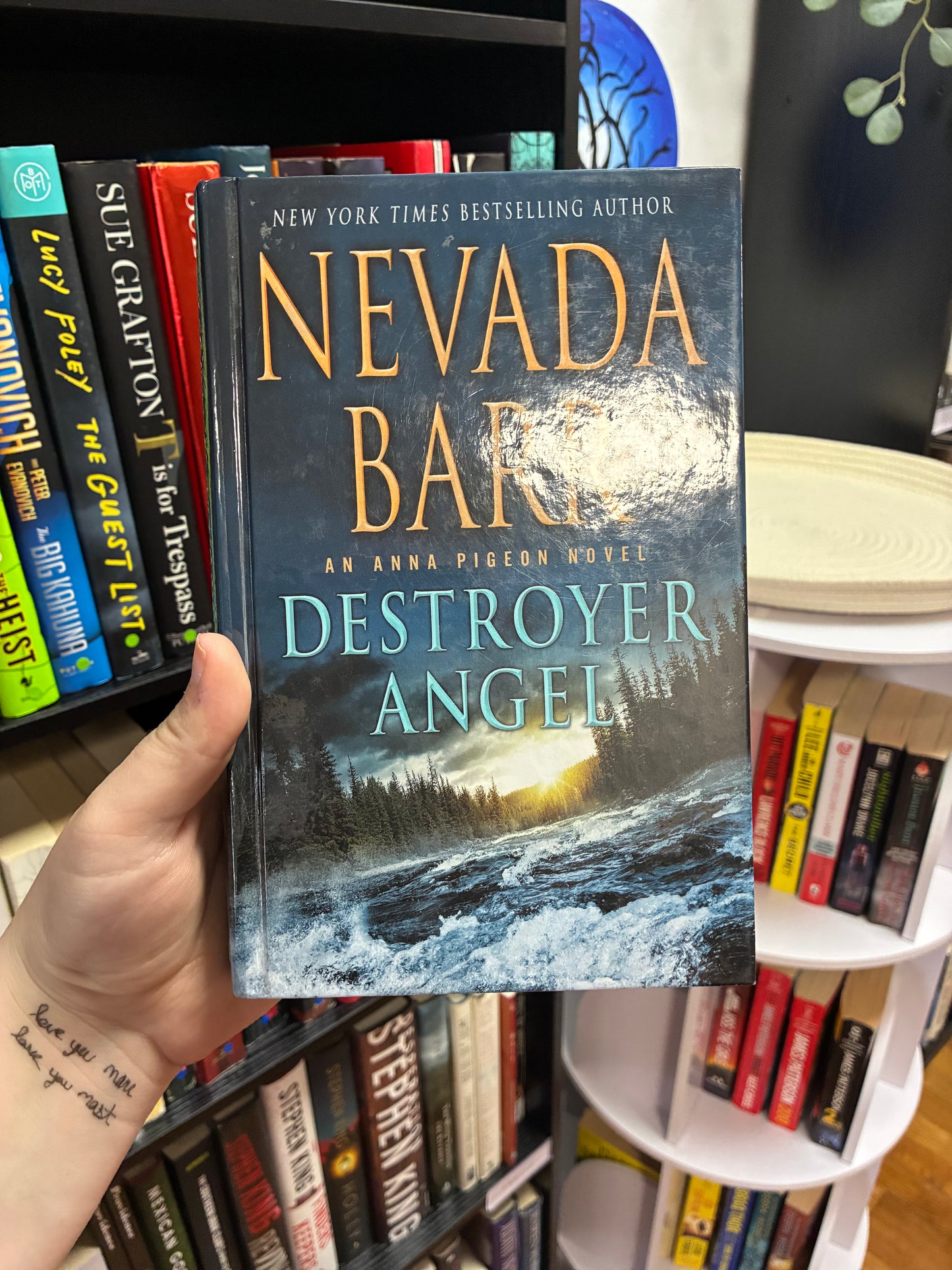 Destroyer Angel by Nevada Barr