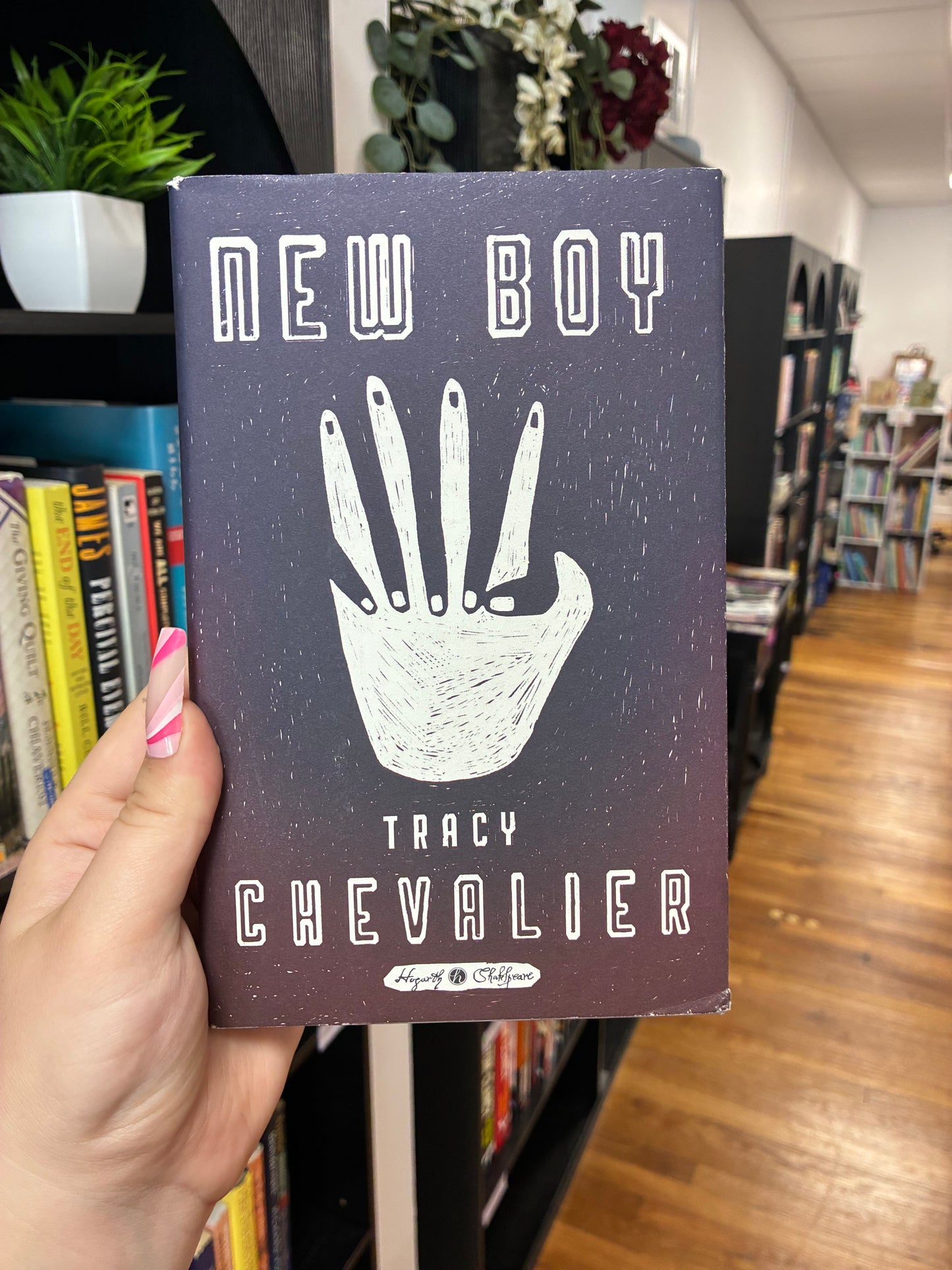 New Boy by Tracy Chevalier