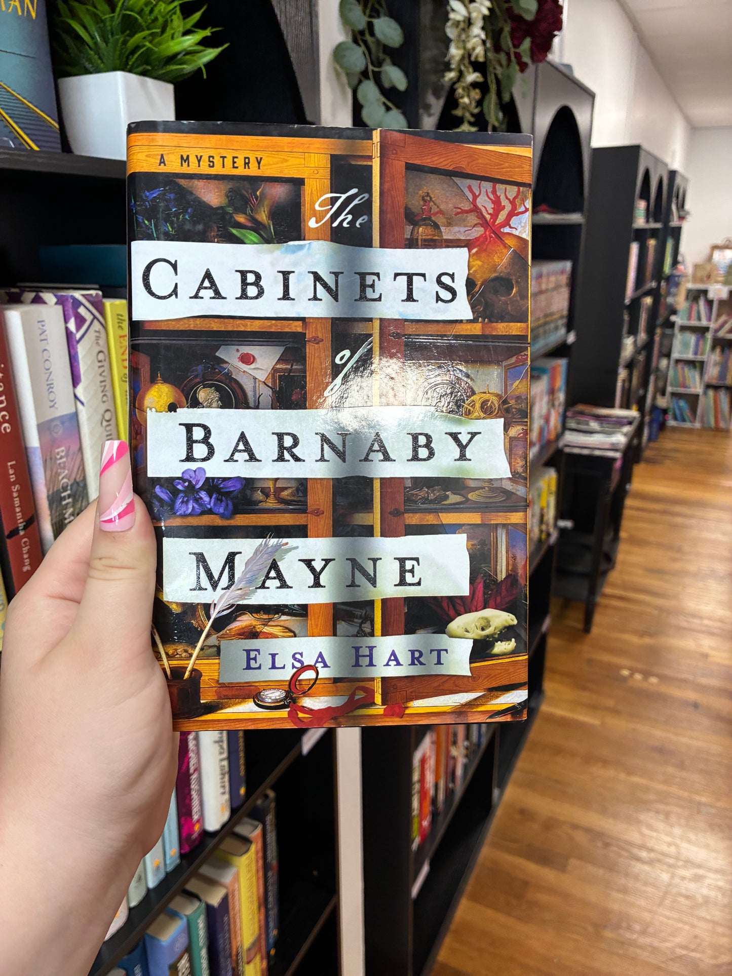The Cabinets of Barnaby Mayne by Elsa Hart