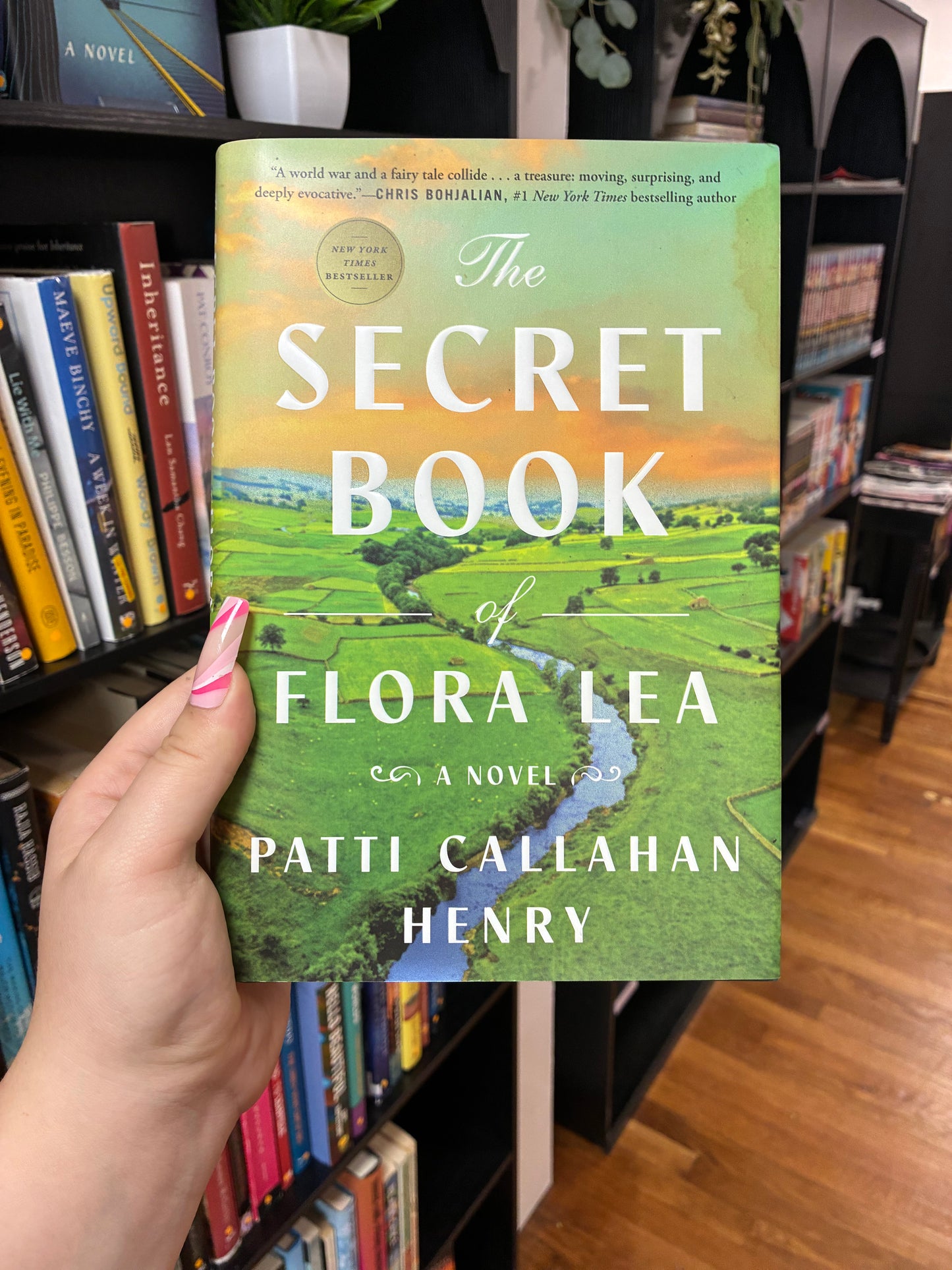 The Secret Book of Flora Lee By Patti Callahan Henry
