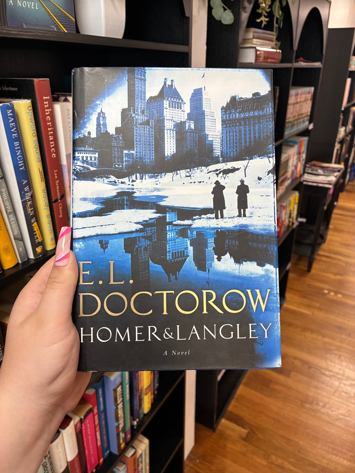Homer and Langley by E.L Doctorow
