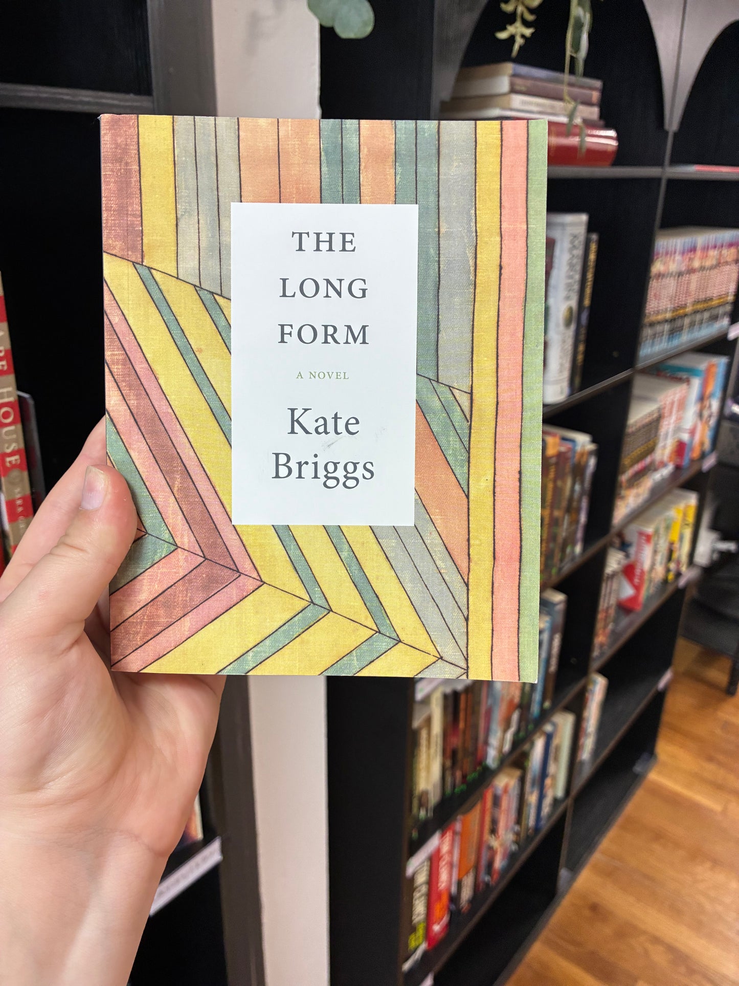 The Long Form by Kate Briggs