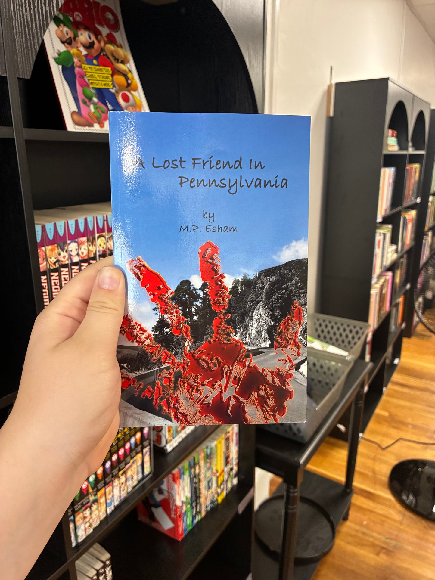 A Lost Friend in Pennsylvania by M.P. Esham