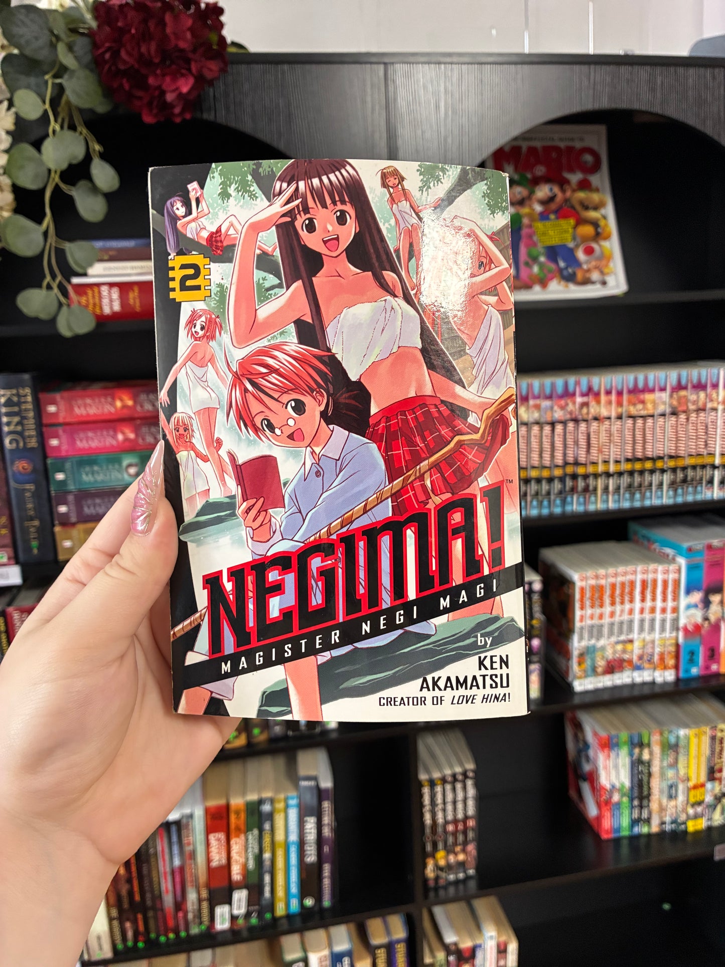 Negima (Vol 2)