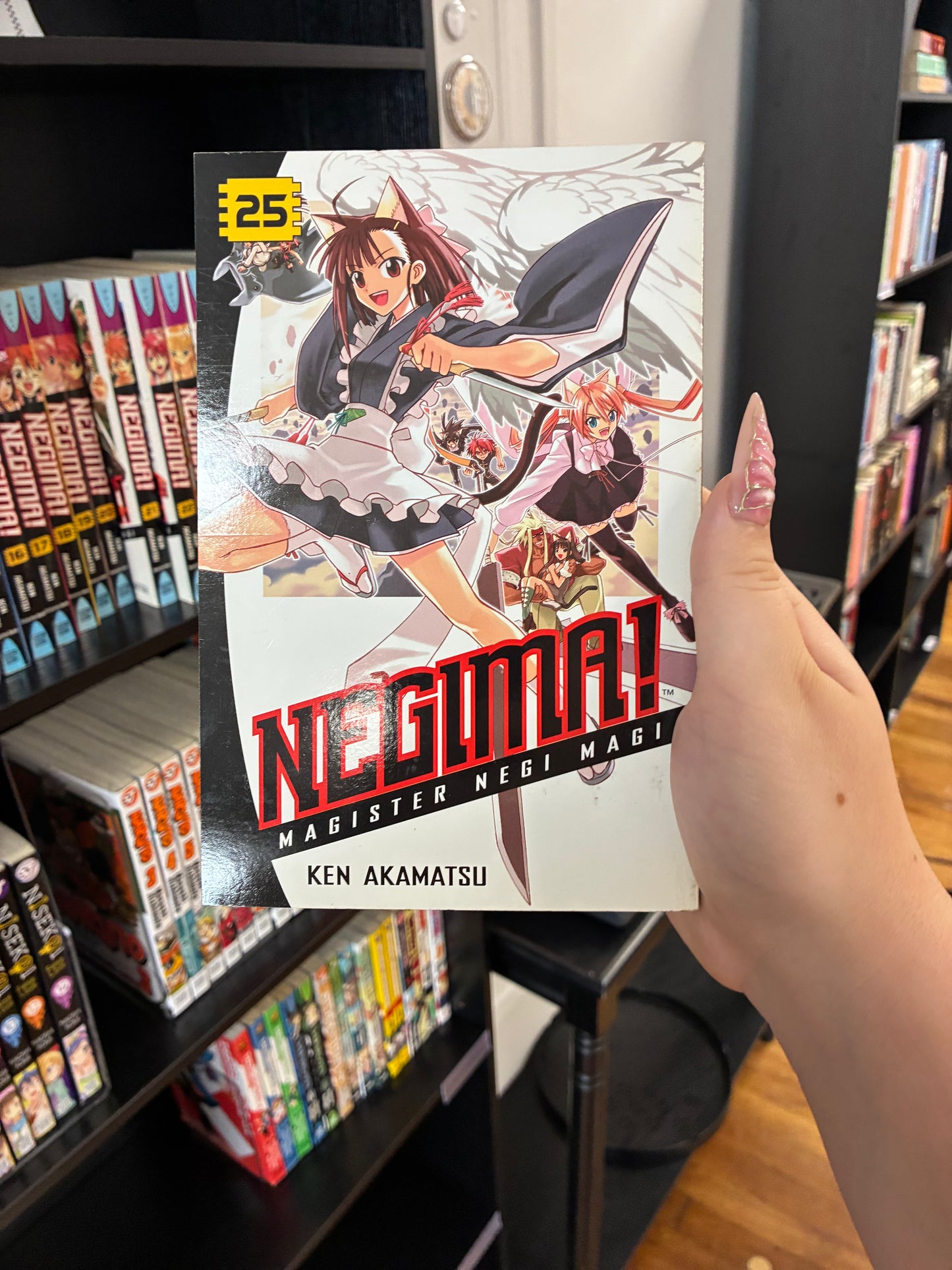 Negima (Vol 25)