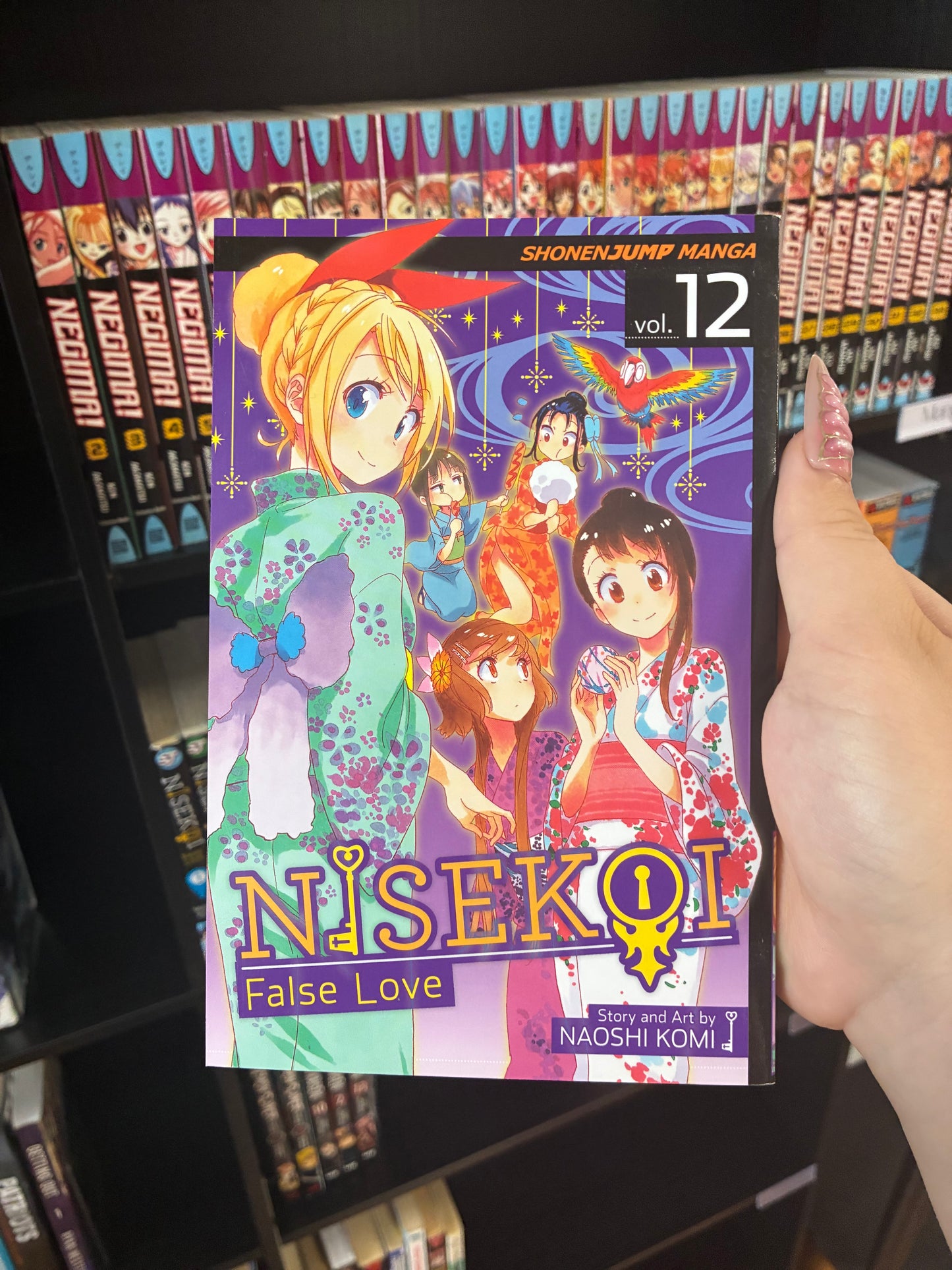 Nisekoi (Vol 12)