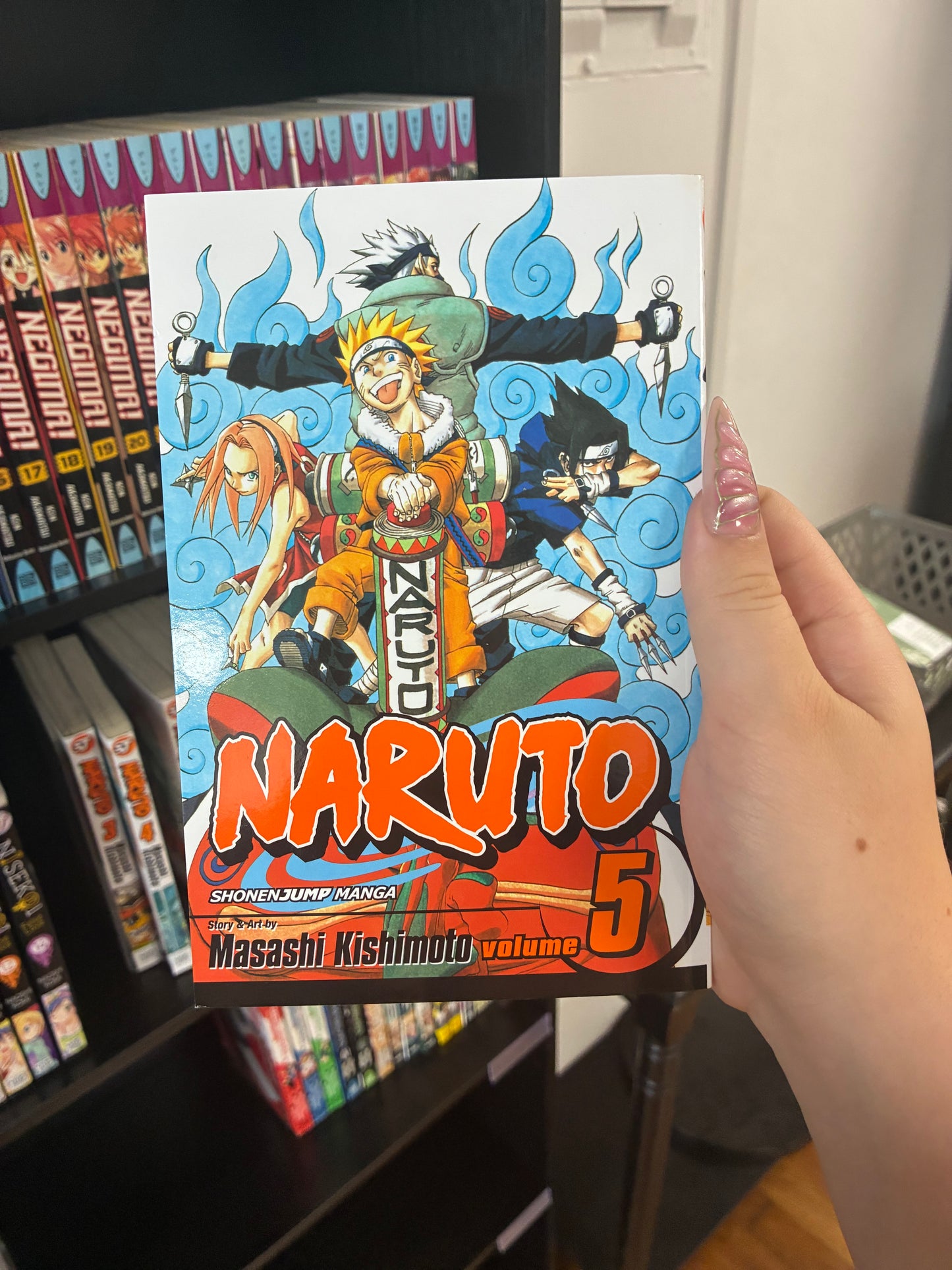 Naruto (Vol 5)