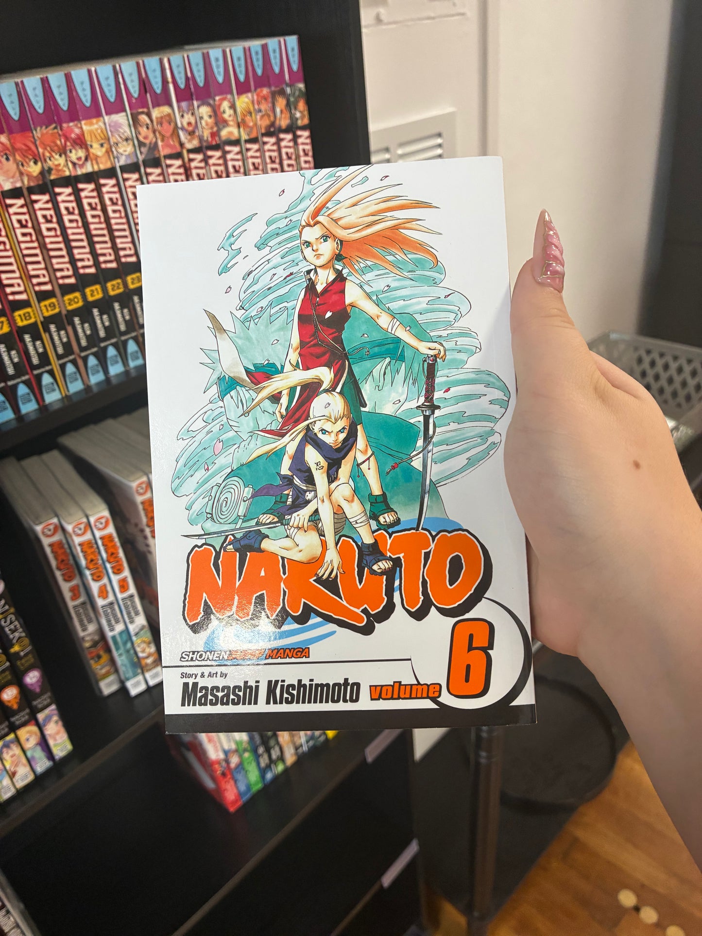 Naruto (Vol 6)