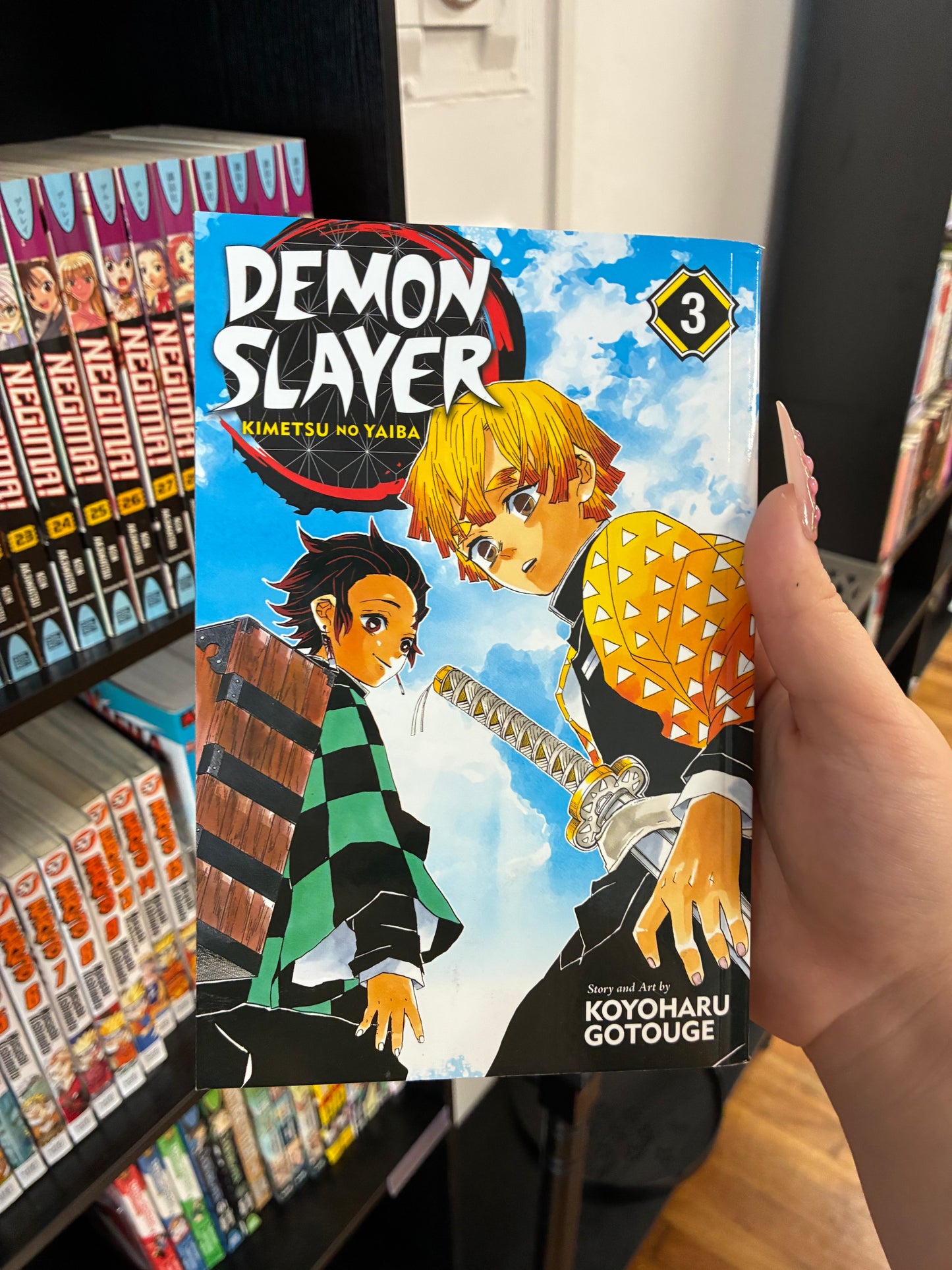 Demon Slayer (Vol 3)