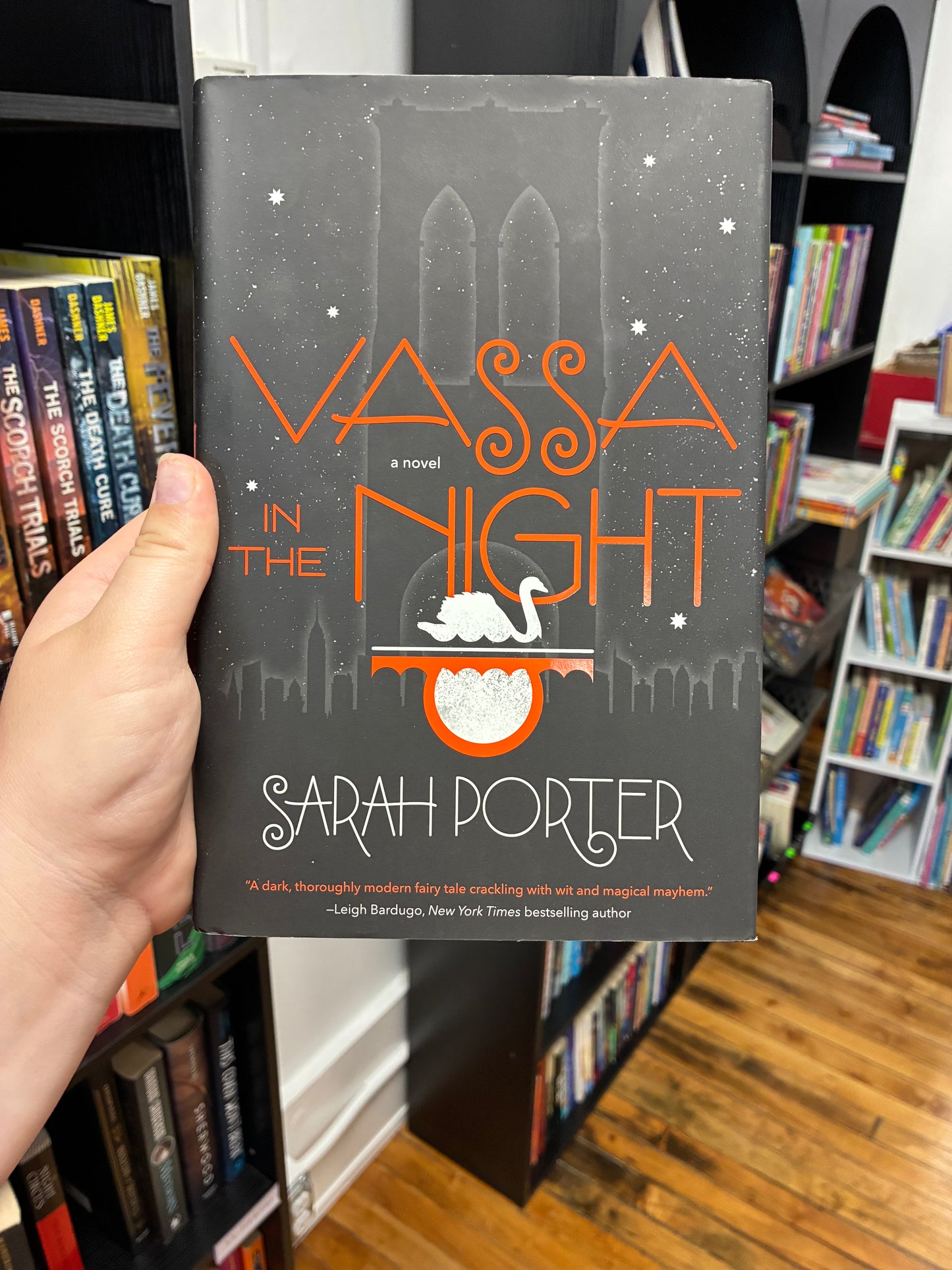 Vassa in the Night by Sarah Porter