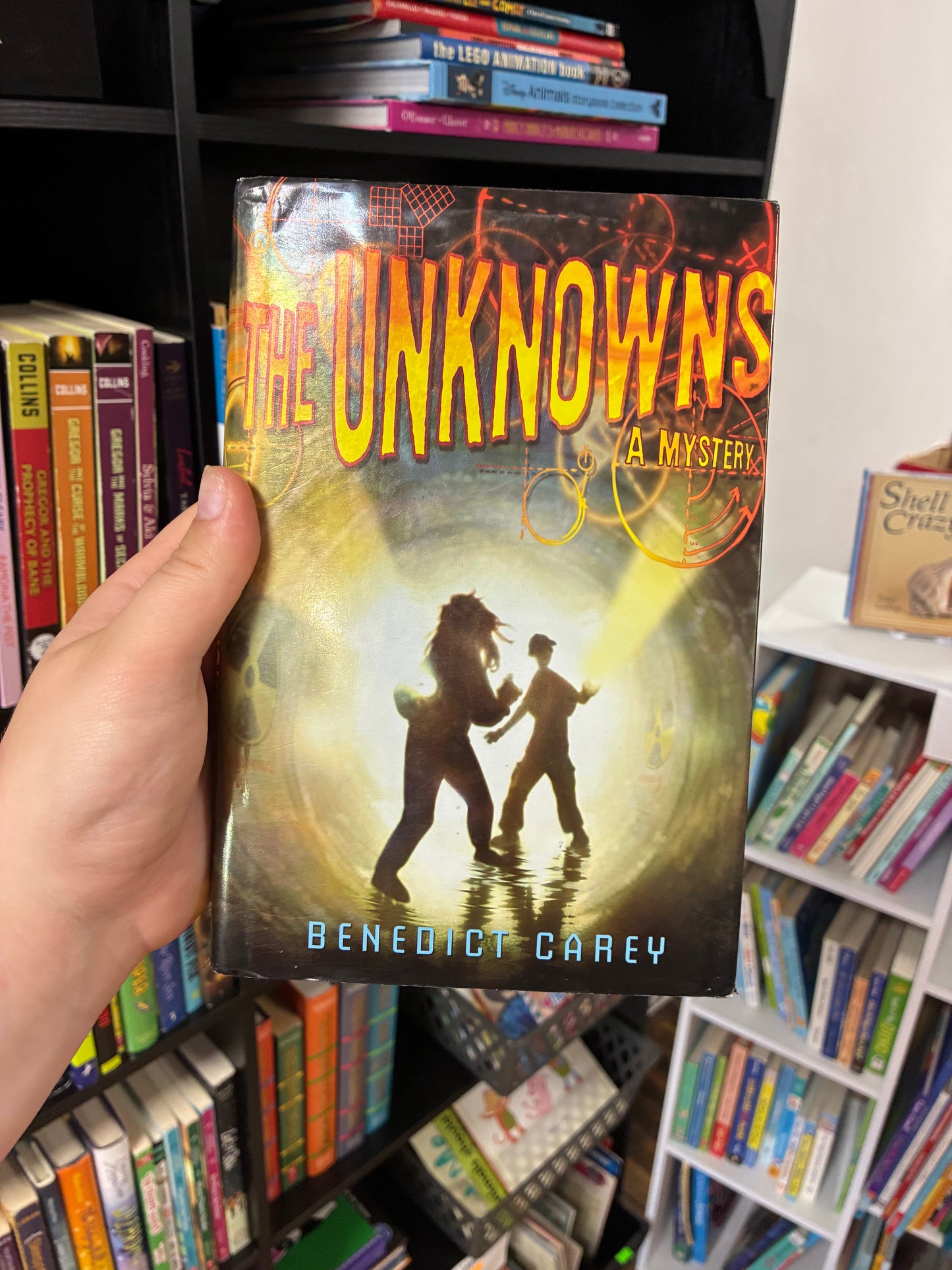 The Unknowns by Benedict Carey