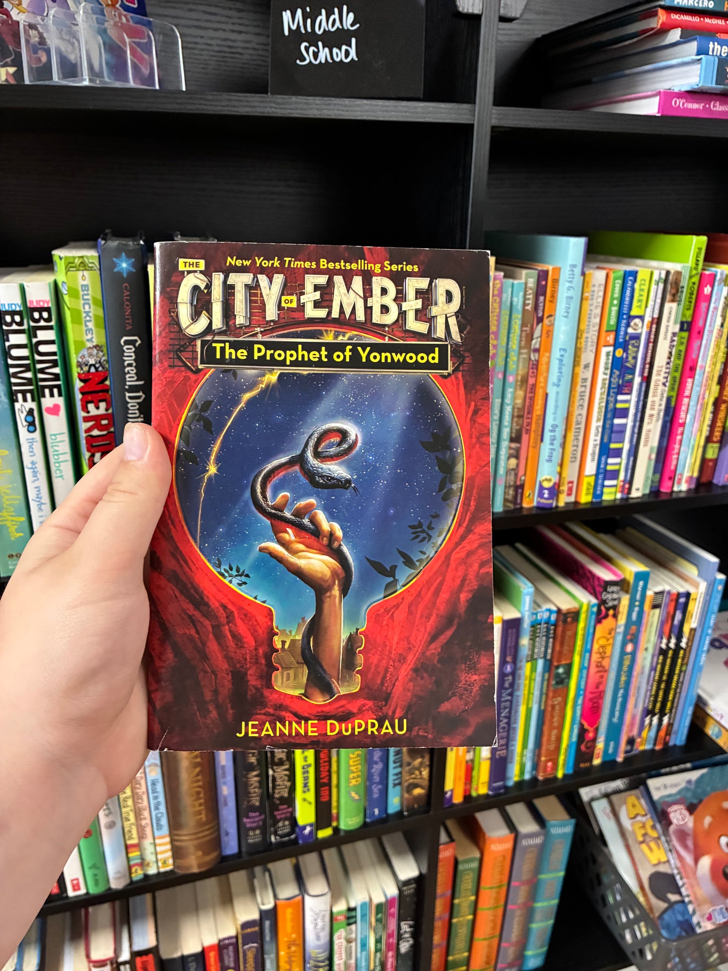 The Prophet of Yonwood by Jeanne DuPrau ( City of Ember, Book 4)