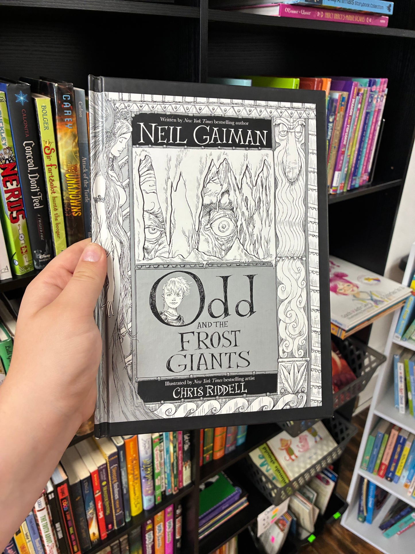 Odd and The Frost Giants by Chris Riddell