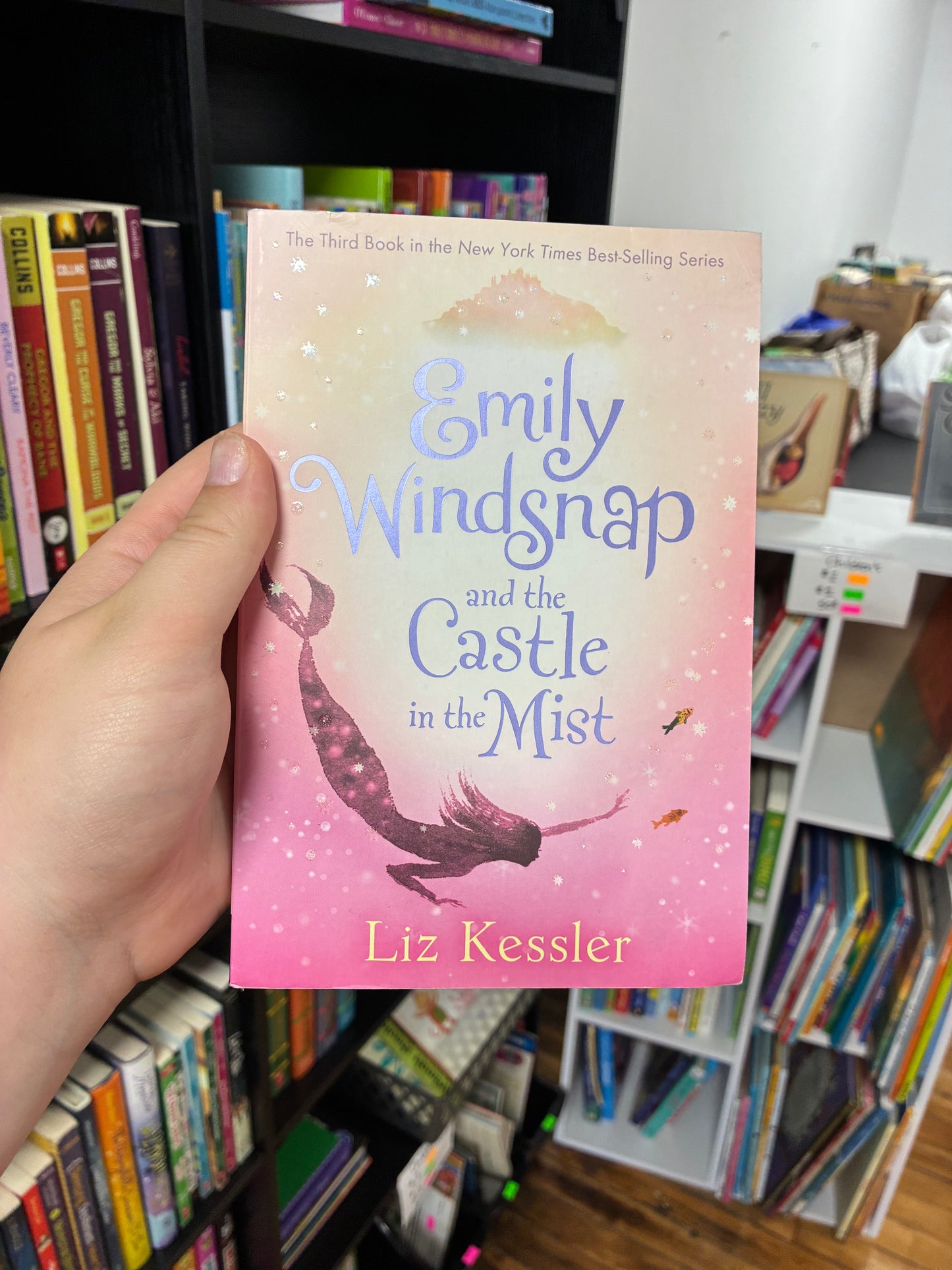 Emily Windsnap and the Castle in the Mist by Liz Kessler