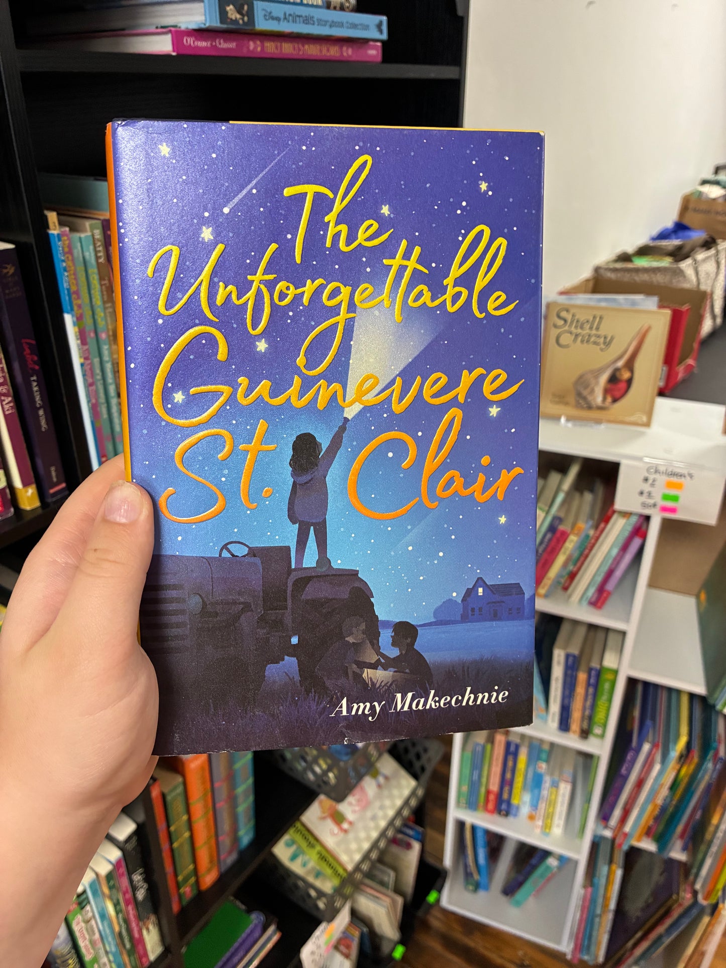 The Unforgettable Guinevere St.Clair by Amy Makechine