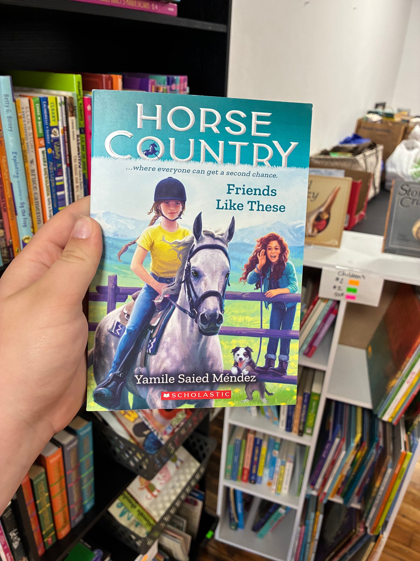 Friends Like These by Yamile Saied Mendez (Horse Country, Book 2)