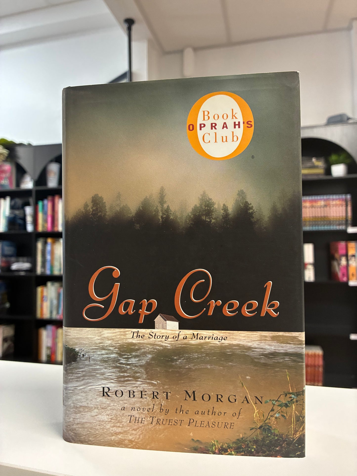 Gap Creek by Robert Morgan