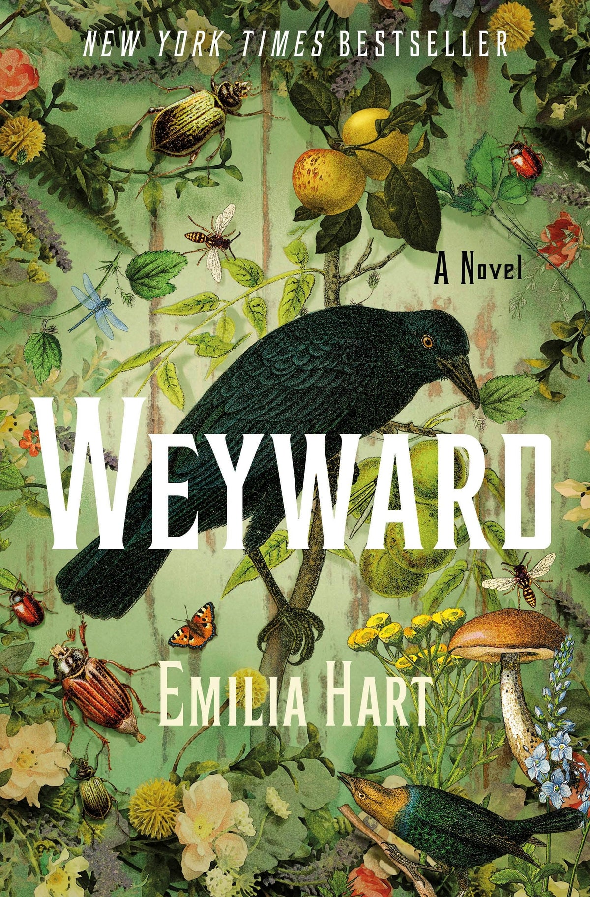 Weyward by Emilia Hart (NEW)
