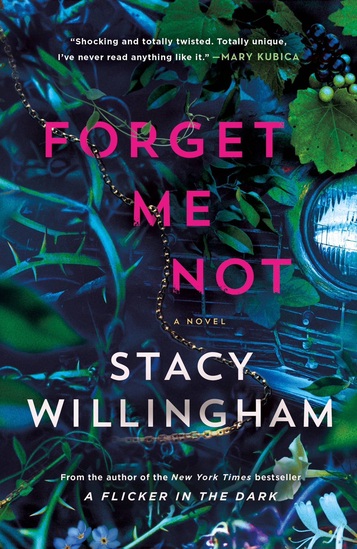Forget Me Not by Stacy Willingham (NEW)