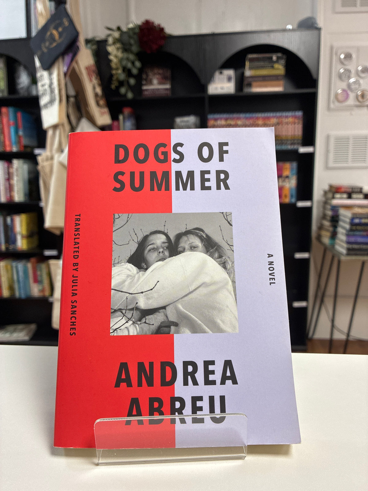 Dogs of Summer by Andrea Abreu