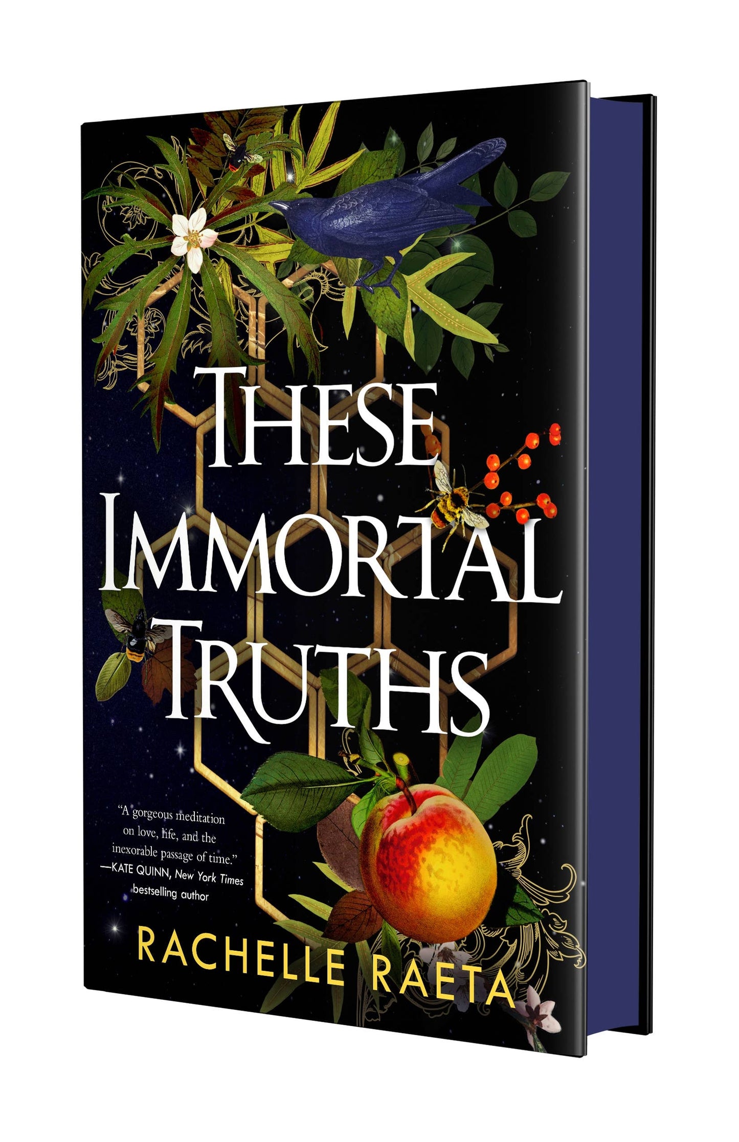 These Immortal Truths by Rachelle Raeta (NEW) (Peaches & Honey #1)