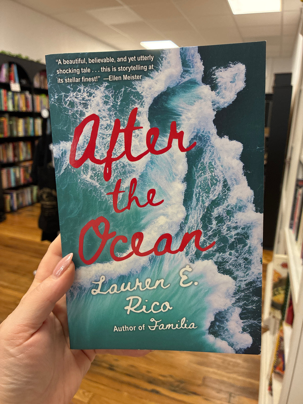 After the Ocean by Lauren E. Rica 01719