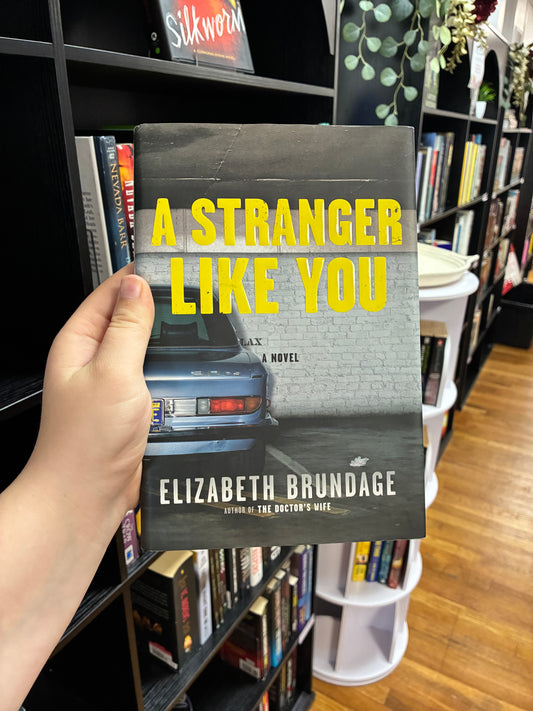 A Stranger Like You by Elizabeth Brundage