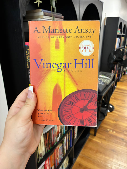 Vinegar Hill by A. Manette Ansay
