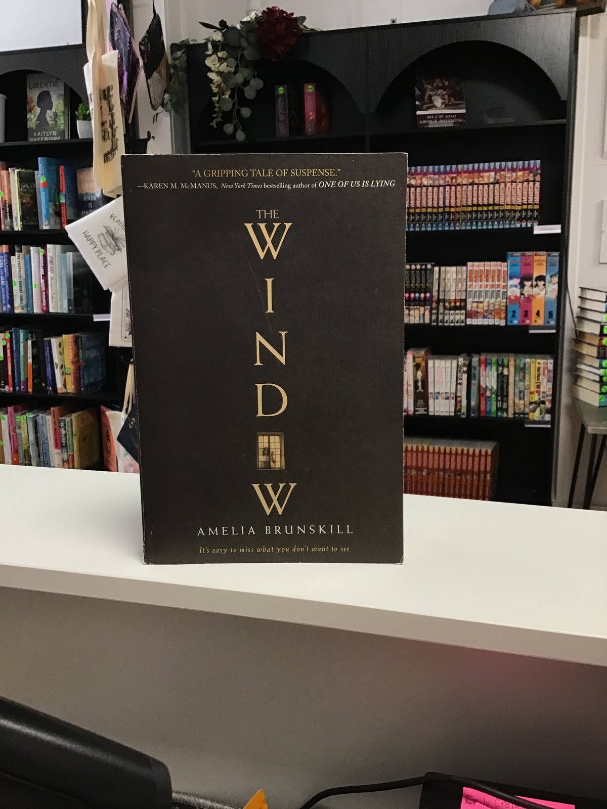 The Window by Amelia Brunskill