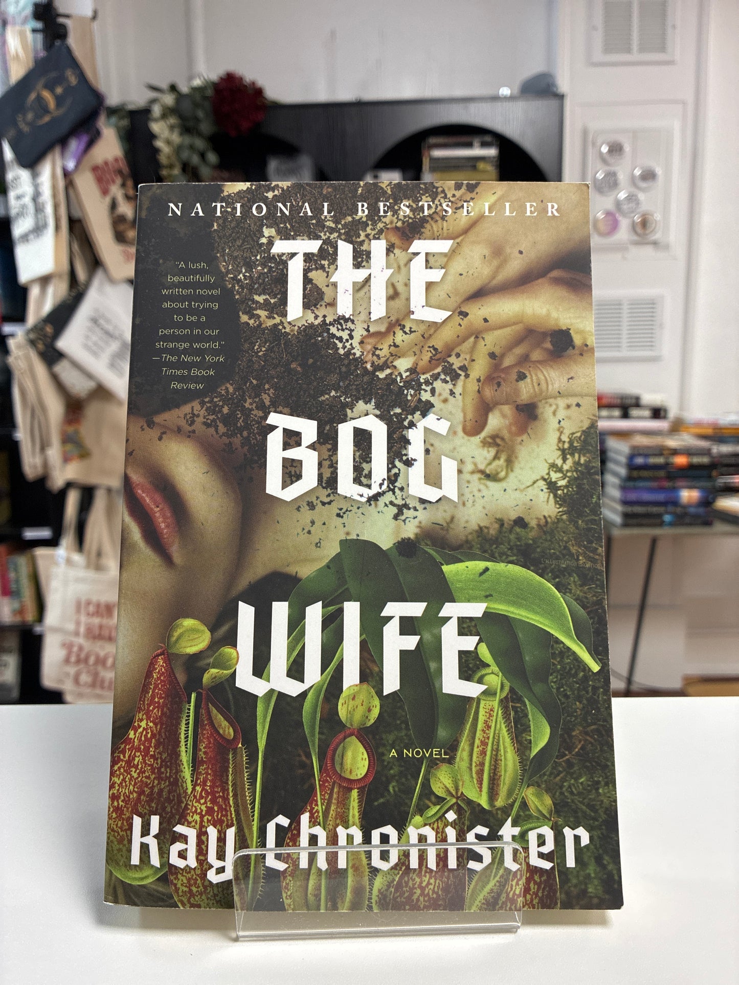 The Bog Wife by Kay Chronister