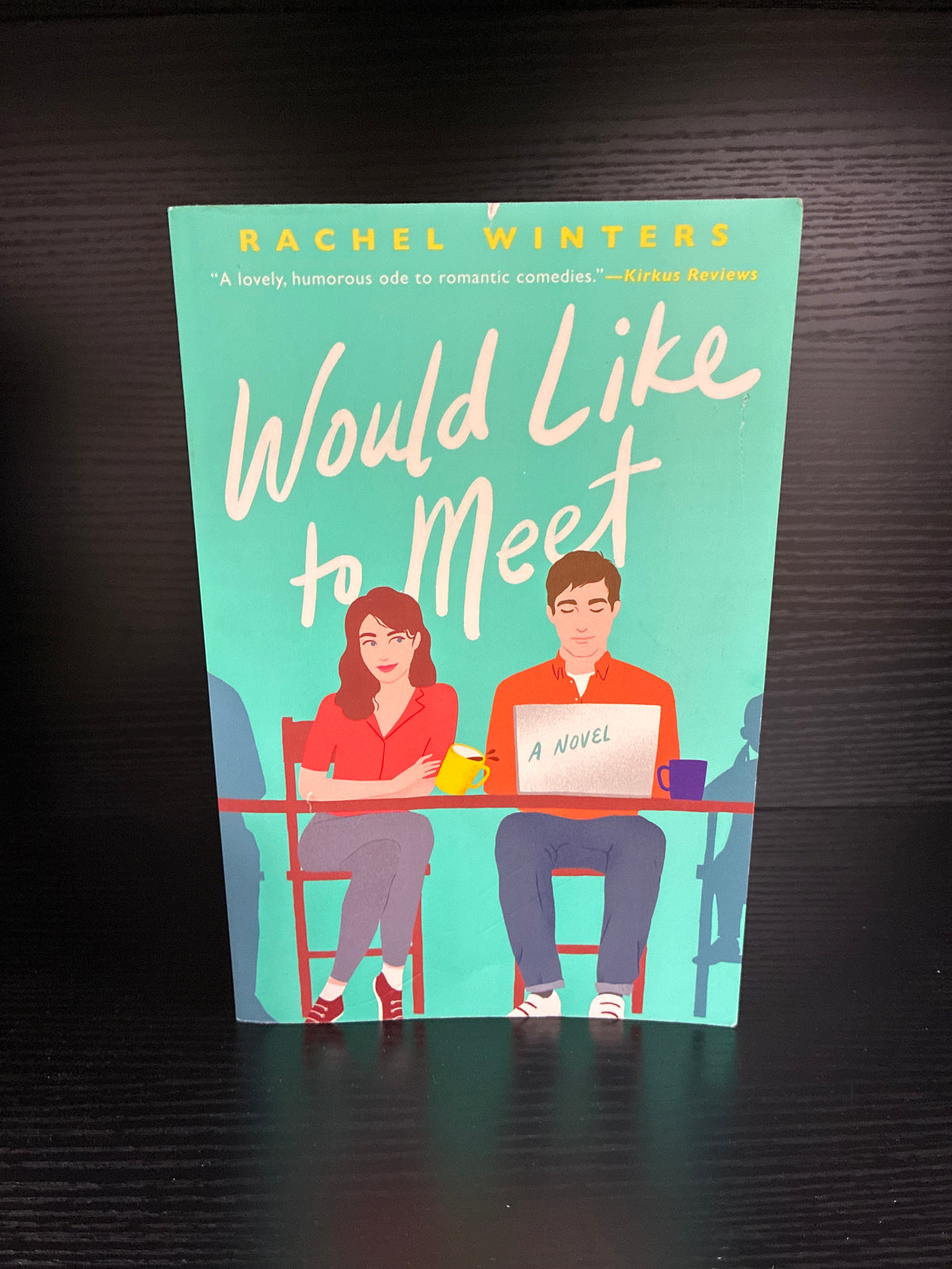 Would Like to Meet by Rachel Winters