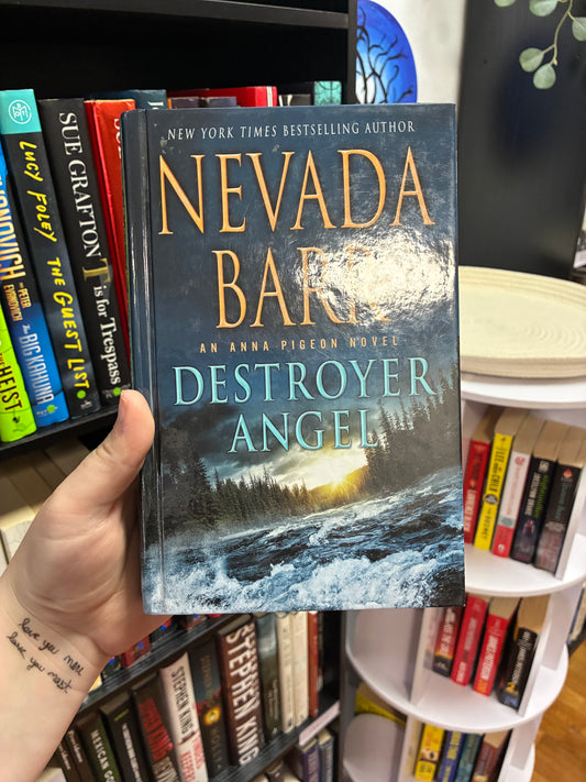 Destroyer Angel by Nevada Barr