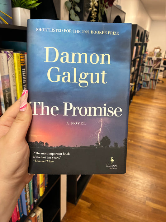 The Promise by Damon Galgut