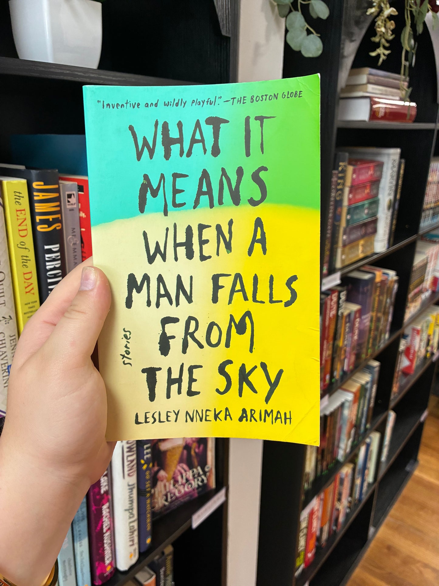 What it Means When a Man Falls From The Sky by Lesley Nneka Arimah