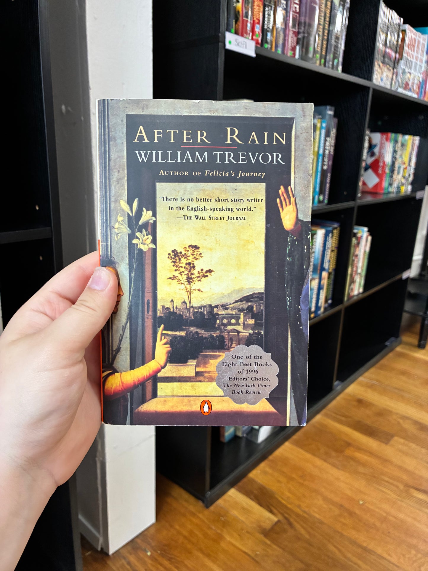 After Rain by William Trevor
